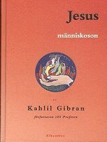 bokomslag Jesus Människoson