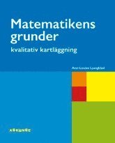 bokomslag Matematikens grunder - kvalitativ kartläggning