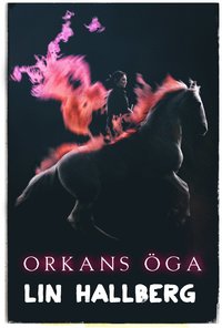 bokomslag Orkans öga