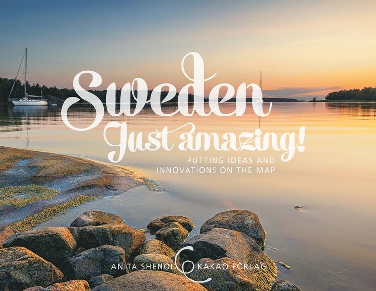 Anita Shenoi - Sweden - just amazing! : putting ideas and innovations on the map, Inbunden