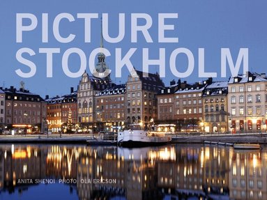 Anita Shenoi - Picture Stockholm, Inbunden
