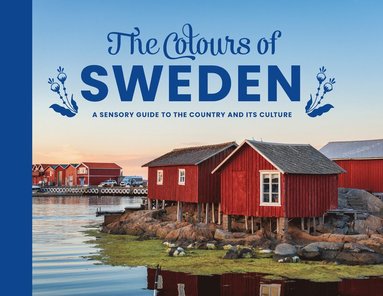 bokomslag Colours of Sweden - A sensory guide to the country and its culture