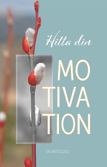 Hitta din motivation 1