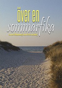 bokomslag Över en sommarfika : en novellantologi om livets mening