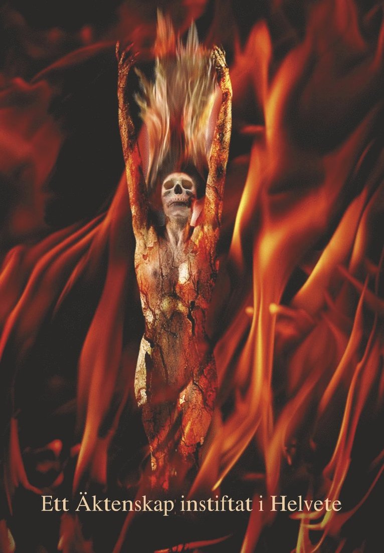 Karin Ahlquist - Ett äktenskap instiftat i helvete, Häftad