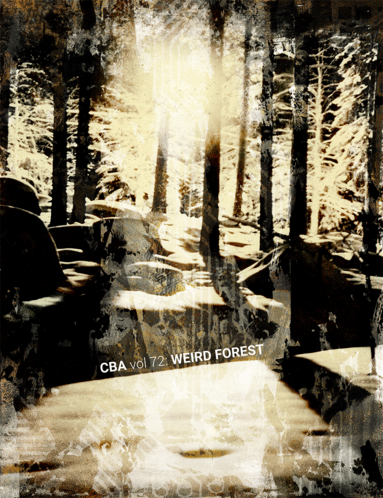 Tomasz Kontny, Tomxyz, Mattias Elftorp, Michael Elton Crye, Athanasia Aarniosuo, Knut Larsson, Susanne Johansson, Svalan Sörblom, Xico Santos - CBA vol 72: Weird forest, Häftad