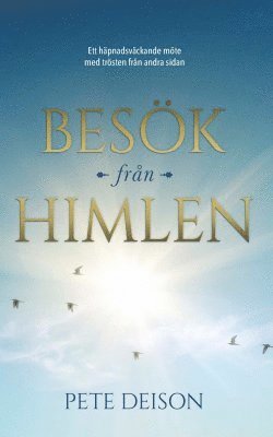 Pete Deison - Besök från himlen : ett häpnadsväckande möte med trösten från andra sidan, Häftad