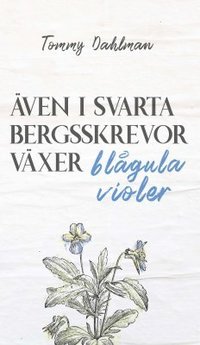 bokomslag Även i svarta bergsskrevor växer blågula violer