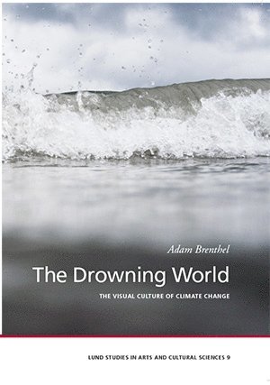 bokomslag The Drowning World