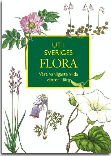 Ingvar Nordin - Ut i Sveriges Flora: våra vanligaste vilda växter i färg, Häftad