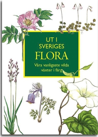 bokomslag Ut i Sveriges Flora: våra vanligaste vilda växter i färg