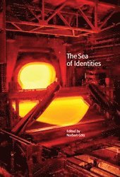 bokomslag The Sea of identities : a century of baltic and east european experiences with nationality, class, and gender