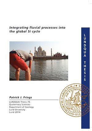 Patrick J. Frings - Integrating fluvial processes into the global Si cycle, Inbunden