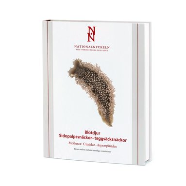 bokomslag Blötdjur: Sidopalpssnäckor - taggsäcksnäckor. Mollusca: Cimidae-Asperspinidae