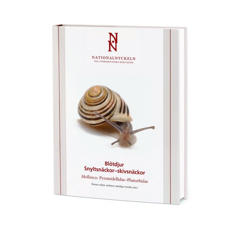 Blötdjur: Snyltsnäckor - skivsnäckor: Mollusca Pyramidellidae-Planorbidae 1