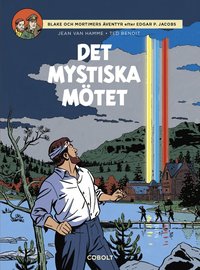 bokomslag Det mystiska mötet