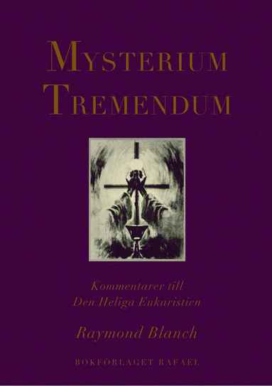 bokomslag Mysterium Tremendum