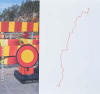 bokomslag Grenseeksaminasjon ; Gränsundersökning ; Border Inspection 2021