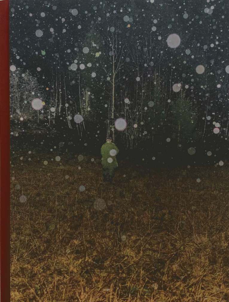 Joey Judita Abrait - Sanctuary, Inbunden