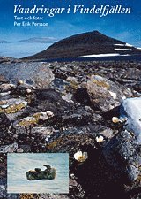 Vandringar i Vindelfjällen : dagbok 1977-2002 1