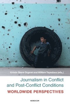 Journalism in conflict and post-conflict conditions : worldwide perspectives, Häftad