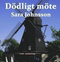 bokomslag Dödligt möte