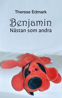 bokomslag Benjamin - nästan som andra