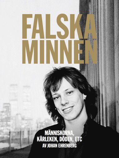 bokomslag Falska minnen : människorna, kärleken, döden, ETC