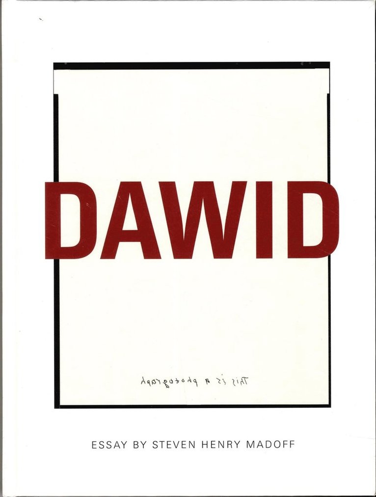 Dawid : this is a photograph 1