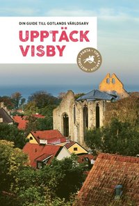 bokomslag Upptäck Visby : din guide till Gotlands världsarv