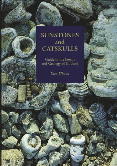 bokomslag Sunstones and Catskulls. Guide to the Fossils and Geology of Gotland