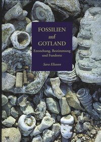 bokomslag Fossilien auf Gotland. Entstehung, Bestimmung und Fundorte