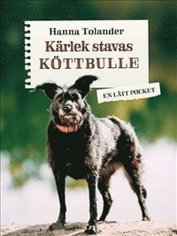 bokomslag Kärlek stavas köttbulle