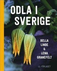 bokomslag Odla i Sverige