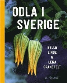bokomslag Odla i Sverige