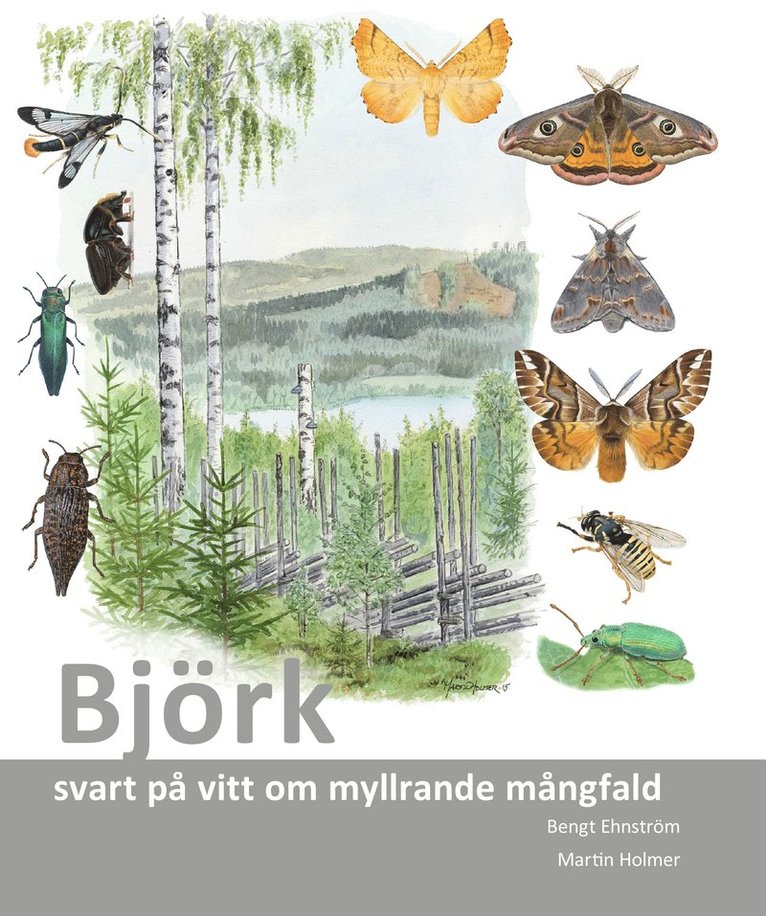 Björk : svart på vitt om myllrande mångfald 1