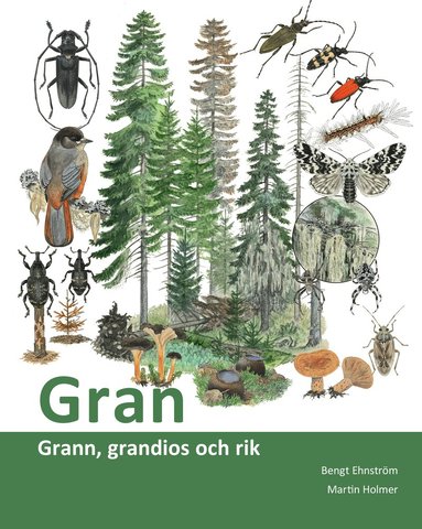 Bengt Ehnström - Gran : grann, grandios och rik, Häftad