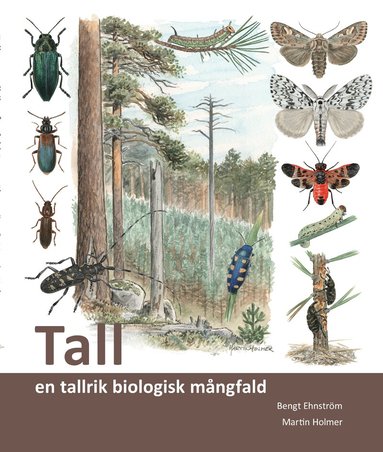 Bengt Ehnström - Tall : en tallrik biologisk mångfald, Häftad