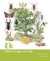 bokomslag Ek : träd för kungar och kryp