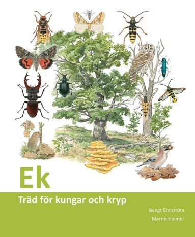 Bengt Ehnström - Ek : träd för kungar och kryp, Häftad