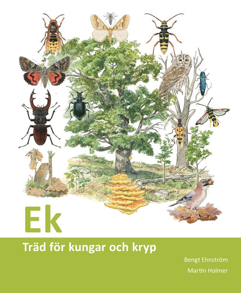 Ek : träd för kungar och kryp 1