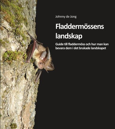 bokomslag Fladdermössens landskap