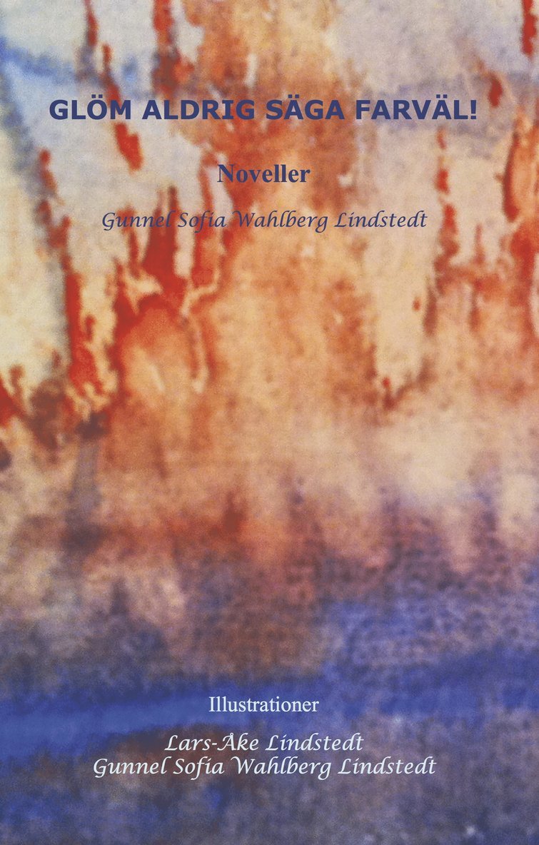 Gunnel Sofia Wahlberg Lindstedt - Glöm aldrig säga farväl!, Häftad