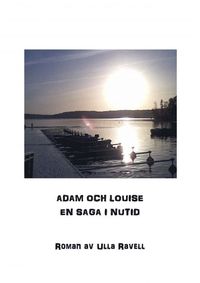 bokomslag Adam och Louise - en saga i nutid