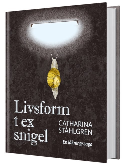 Livsform t ex snigel : om bönen och det obönhörliga - en läkningsaga 1