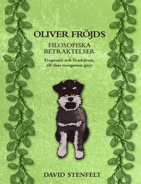 bokomslag Oliver Fröjds filosofiska betraktelser