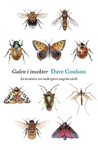 bokomslag Galen i insekter : en berättelse om småkrypens magiska värld