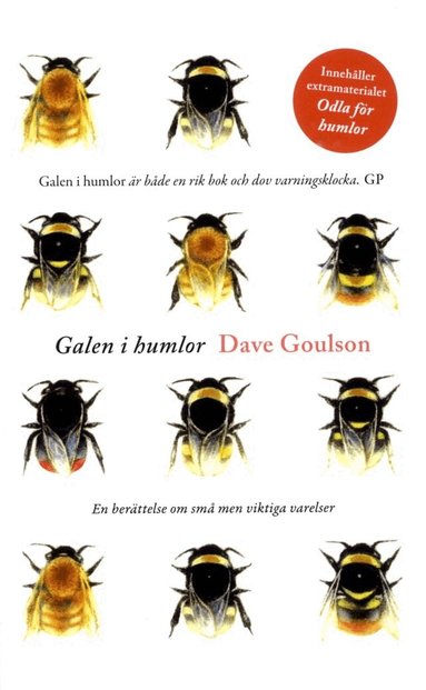 Dave Goulson - Galen i humlor, Pocket