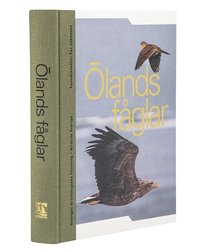 bokomslag Ölands fåglar