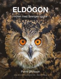 Eldögon – möten med Sveriges ugglor